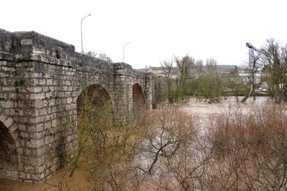 Río Duero a su paso por la localidad vallisoletana de Quintanilla de Onésimo