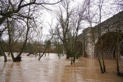 Río Duero a su paso por la localidad vallisoletana de Quintanilla de Onésimo