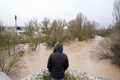 Río Duero a su paso por la localidad vallisoletana de Quintanilla de Onésimo