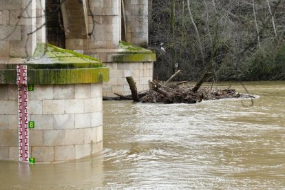 El río Pisuerga crece a su paso por Valladolid.