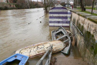 El río Pisuerga crece a su paso por Valladolid.