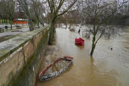 El río Pisuerga crece a su paso por Valladolid.
