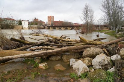 El río Pisuerga crece a su paso por Valladolid.