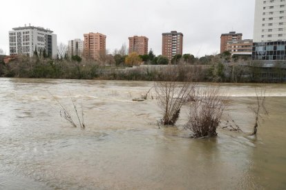 El río Pisuerga crece a su paso por Valladolid.