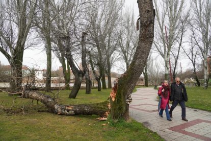El río Pisuerga crece a su paso por Valladolid.