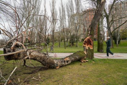 El río Pisuerga crece a su paso por Valladolid.