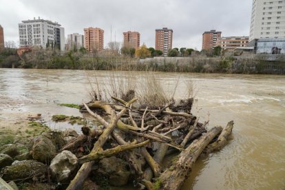 El río Pisuerga crece a su paso por Valladolid.