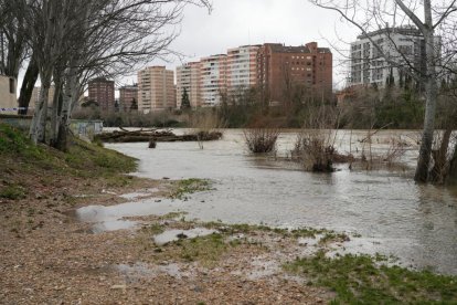 El río Pisuerga crece a su paso por Valladolid.