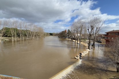 Los trabajos de achique tras la inundación de Viana de Cega