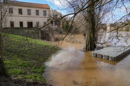 La CHD mantiene en alerta roja al Duero a su paso por Quintanilla de Onésimo.