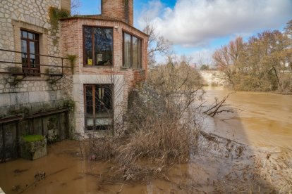 La CHD mantiene en alerta roja al Duero a su paso por Quintanilla de Onésimo.