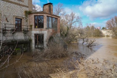 La CHD mantiene en alerta roja al Duero a su paso por Quintanilla de Onésimo.