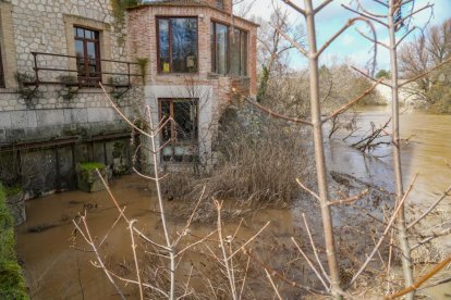 La CHD mantiene en alerta roja al Duero a su paso por Quintanilla de Onésimo.