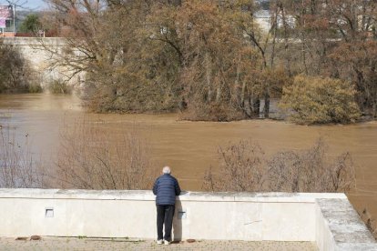 La CHD mantiene en alerta roja al Duero a su paso por Quintanilla de Onésimo.