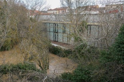 La CHD mantiene en alerta roja al Duero a su paso por Quintanilla de Onésimo.