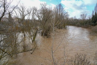 La CHD mantiene en alerta roja al Duero a su paso por Quintanilla de Onésimo.