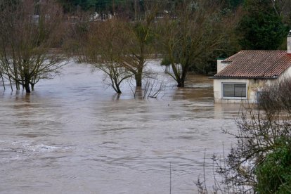 El Duero pasa muy crecido en Tudela de Duero