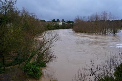 El Duero pasa muy crecido en Tudela de Duero.