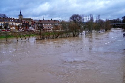 El Duero pasa muy crecido en Tudela de Duero.