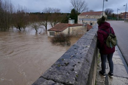 El Duero pasa muy crecido en Tudela de Duero.