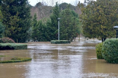 El Duero pasa muy crecido en Tudela de Duero.