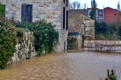 El Duero pasa muy crecido en Tudela de Duero.