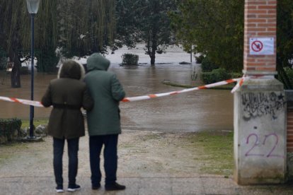 El Duero pasa muy crecido en Tudela de Duero.