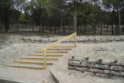 Restauración ambiental del cerro de San Cristóbal.
