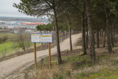 Restauración ambiental del cerro de San Cristóbal.