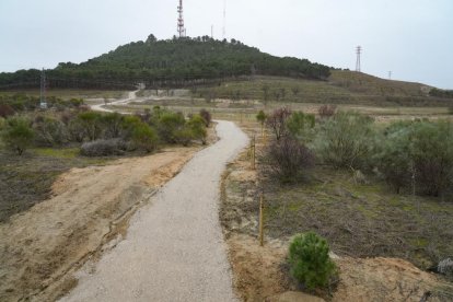 Restauración ambiental del cerro de San Cristóbal.