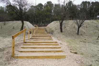 Restauración ambiental del cerro de San Cristóbal.