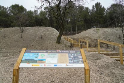 Restauración ambiental del cerro de San Cristóbal.