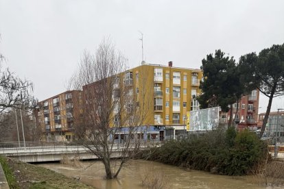 Río Esgueva en el puente de Tía Juliana
