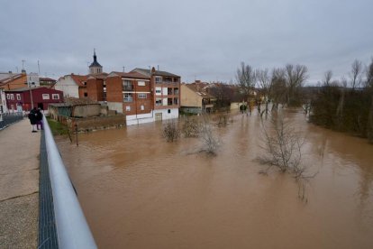 Crecida del río en Tudela de Duero