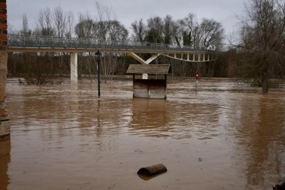Crecida del río en Tudela de Duero