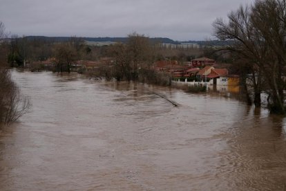 Crecida del río en Tudela de Duero