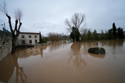 Crecida del río en Tudela de Duero