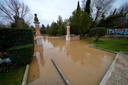 Crecida del río en Tudela de Duero