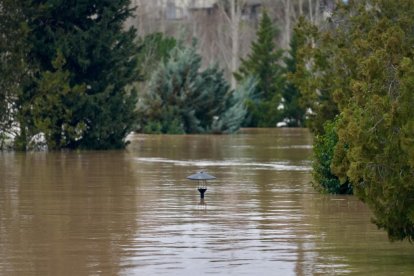 Crecida del río en Tudela de Duero