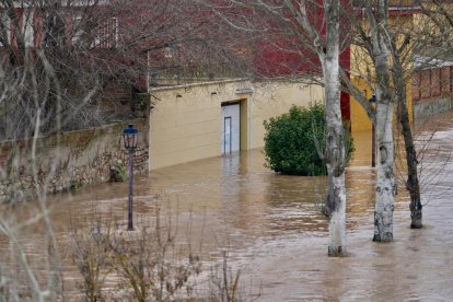 Crecida del río en Tudela de Duero