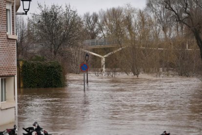 Crecida del río en Tudela de Duero