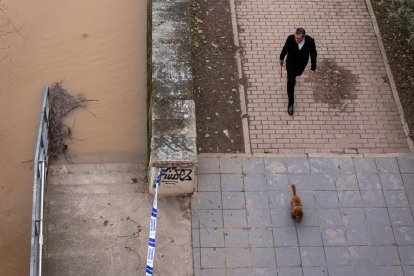 Crecida del rio Pisuerga