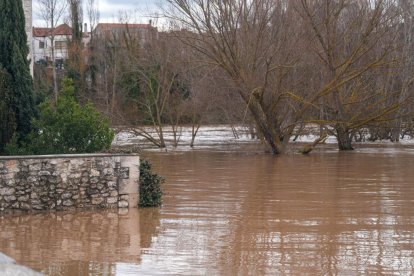 Casas y calles afectadas por la crecida del río Duero
