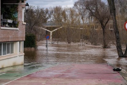 Casas y calles afectadas por la crecida del río Duero