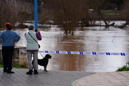 Estado del Duero a su paso por Puente Duero