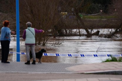 Estado del Duero a su paso por Puente Duero