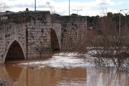 Estado del Duero a su paso por Puente Duero