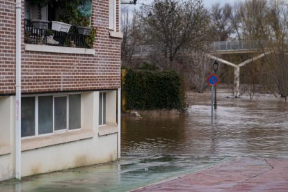 Casas y calles afectadas por la crecida del río Duero en Tudela