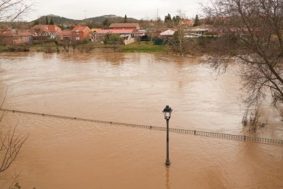 Inundaciones por la crecida del Duero en Tudela de Duero