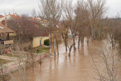 Inundaciones por la crecida del Duero en Tudela de Duero